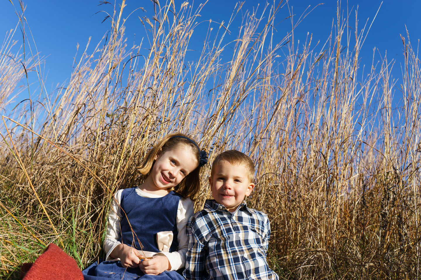 Eagan Family Photography - kids in the grass
