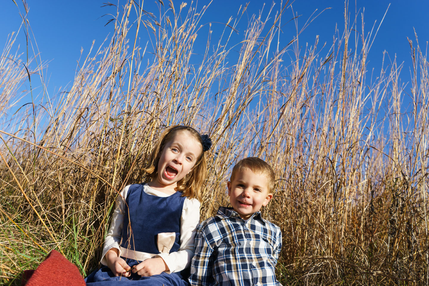 Eagan Family Photography - silly kids in the grass