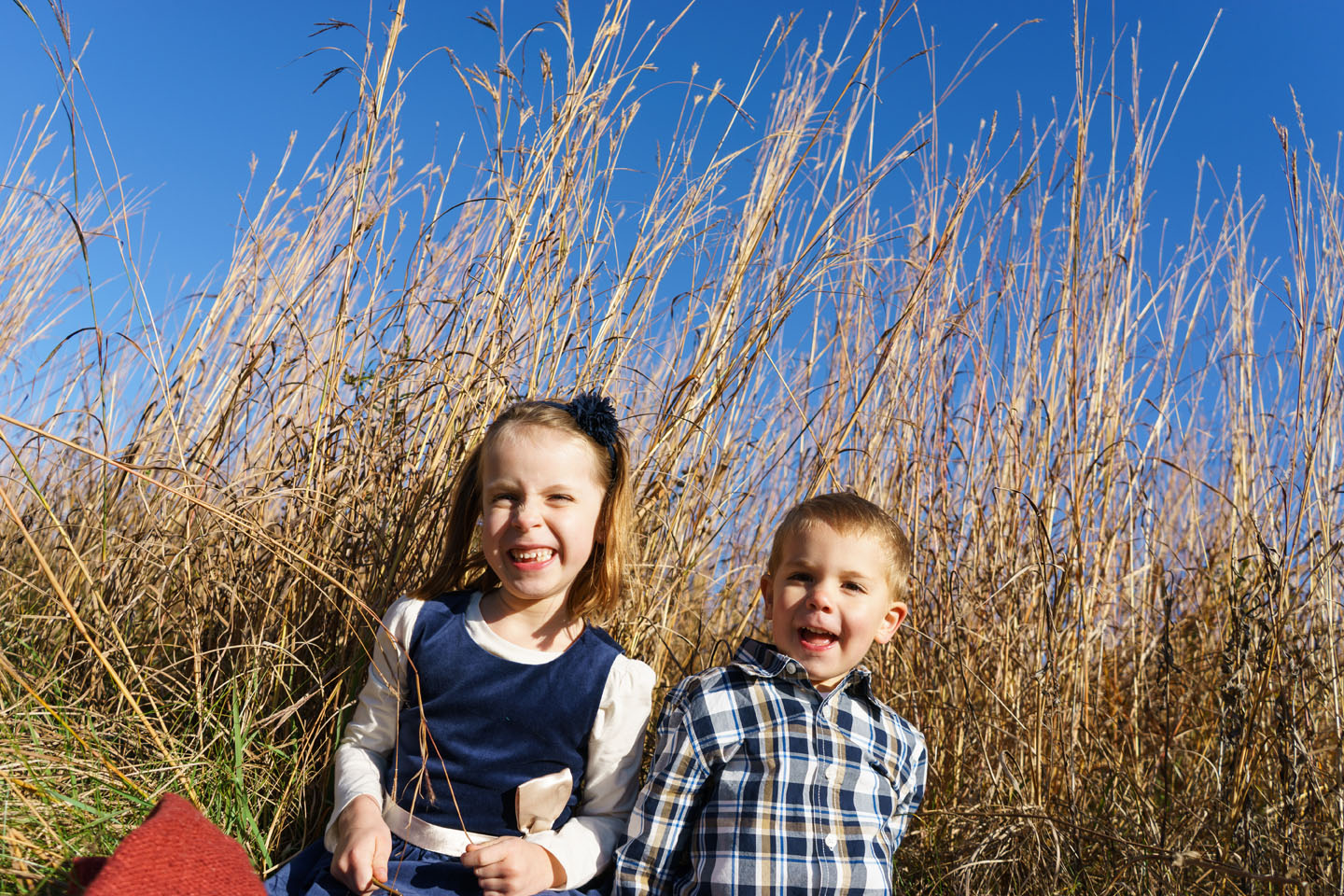 Eagan Family Photography - kids in the grass