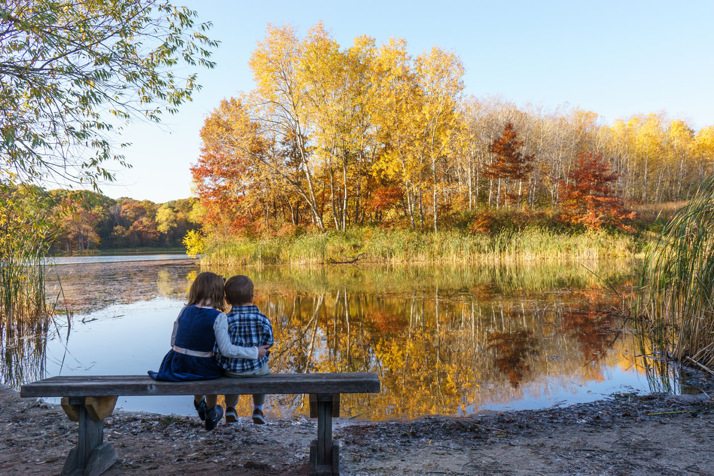 Eagan Family Photography - siblings on a bench