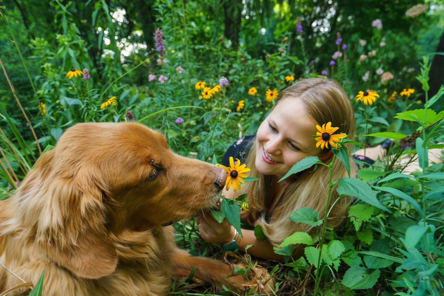 Backyard Dog and Chicken Photography - flowers