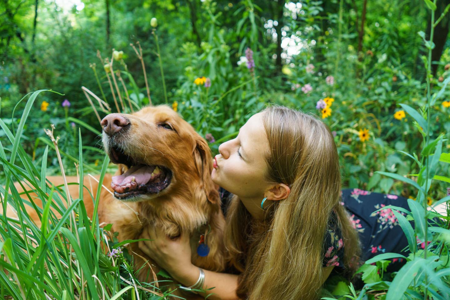 Backyard Dog and Chicken Photography - kiss