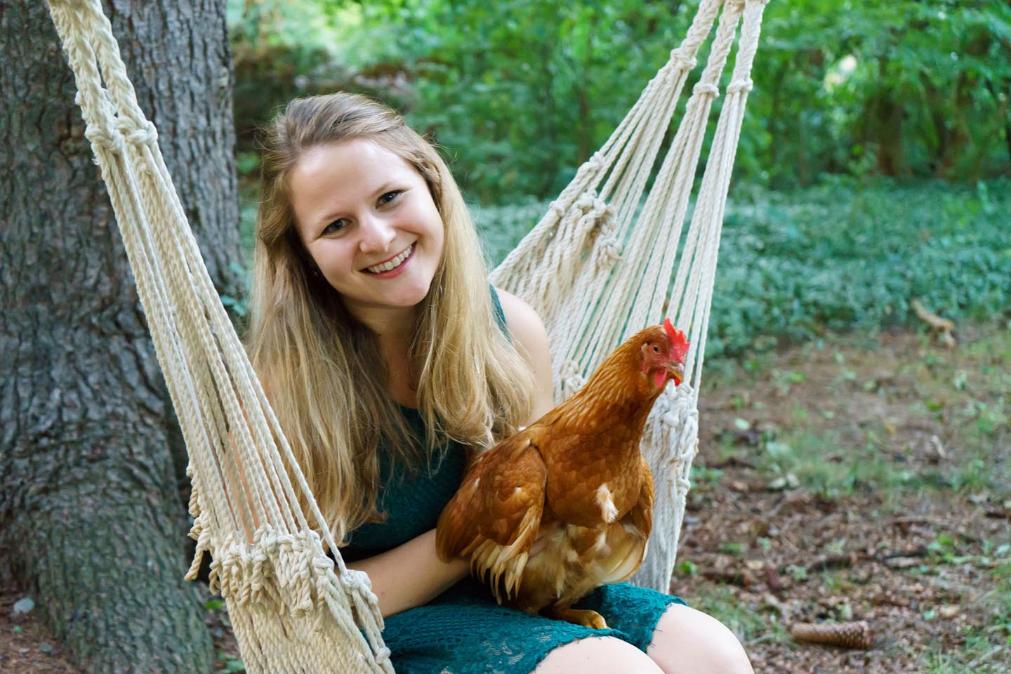Backyard Dog and Chicken Photography - chicken in a swing