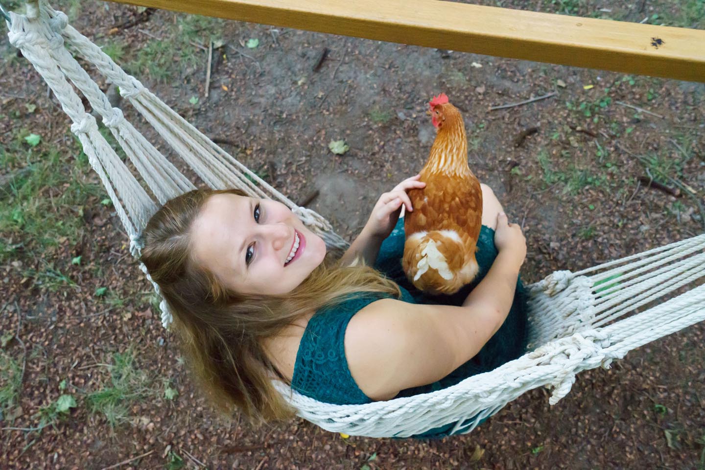 Backyard Dog and Chicken Photography - swinging with a chicken