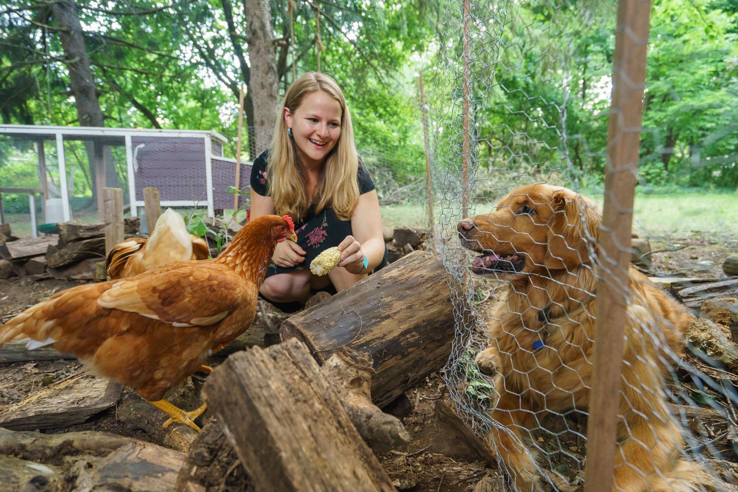 Backyard Dog and Chicken Photography - family candid