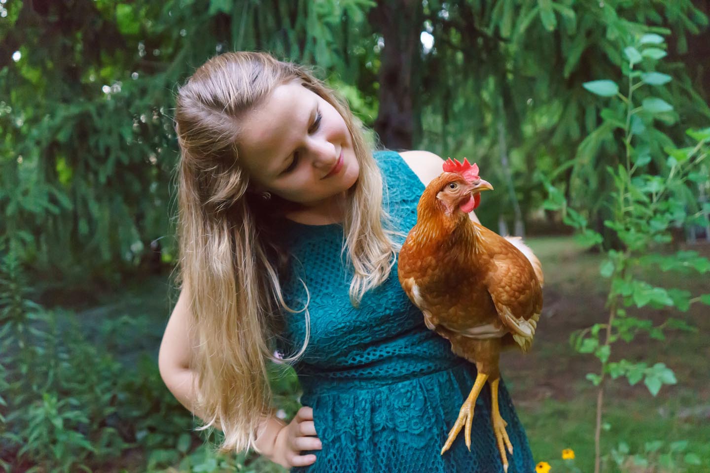 Backyard Dog and Chicken Photography - holding a chicken
