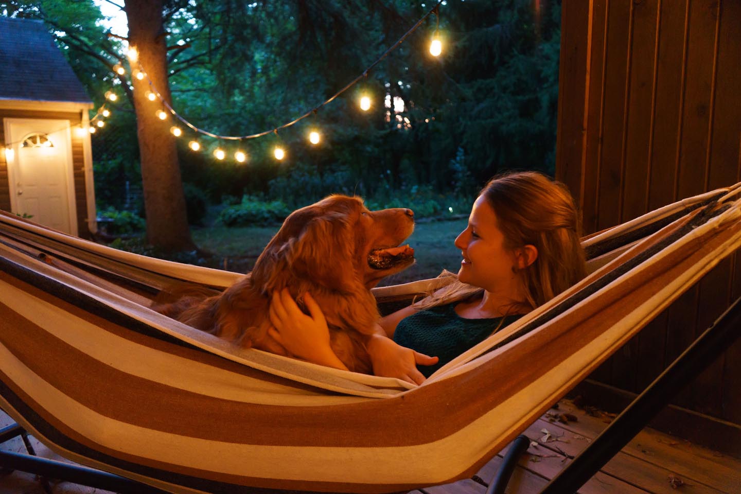 Backyard Dog and Chicken Photography - dog in the hammock