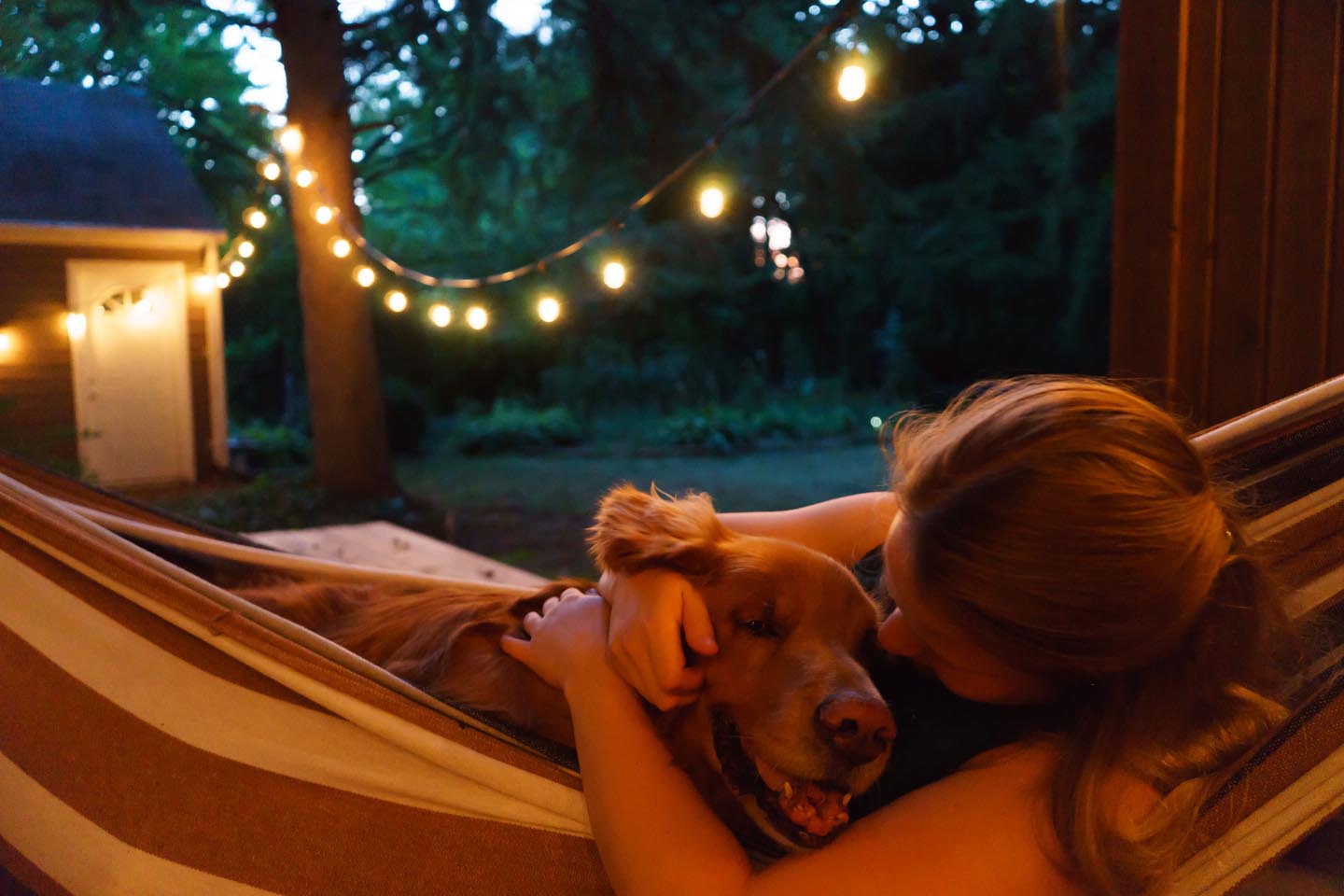 Backyard Dog and Chicken Photography - snuggling in the hammock