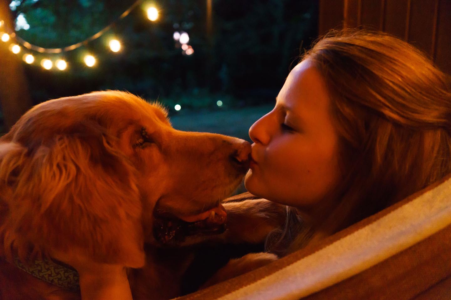 Backyard Dog and Chicken Photography - kiss on the nose