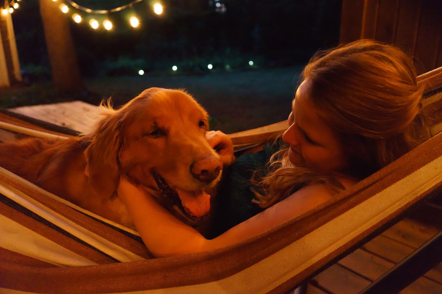 Backyard Dog and Chicken Photography - happy in the hammock