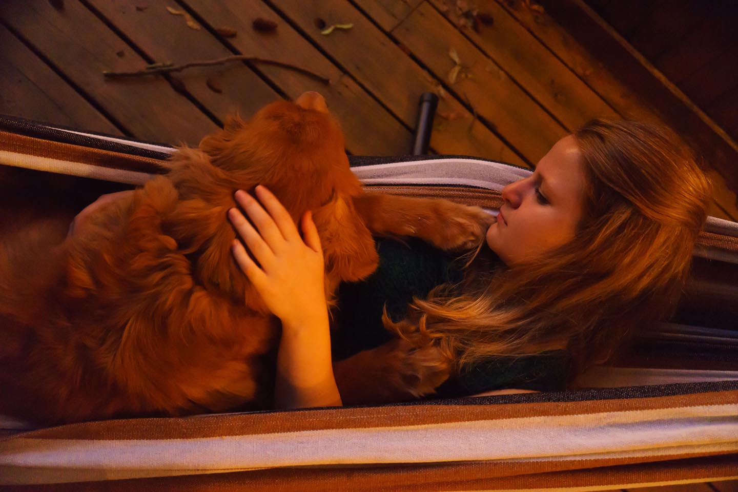 Backyard Dog and Chicken Photography - snuggling at night in the hammock