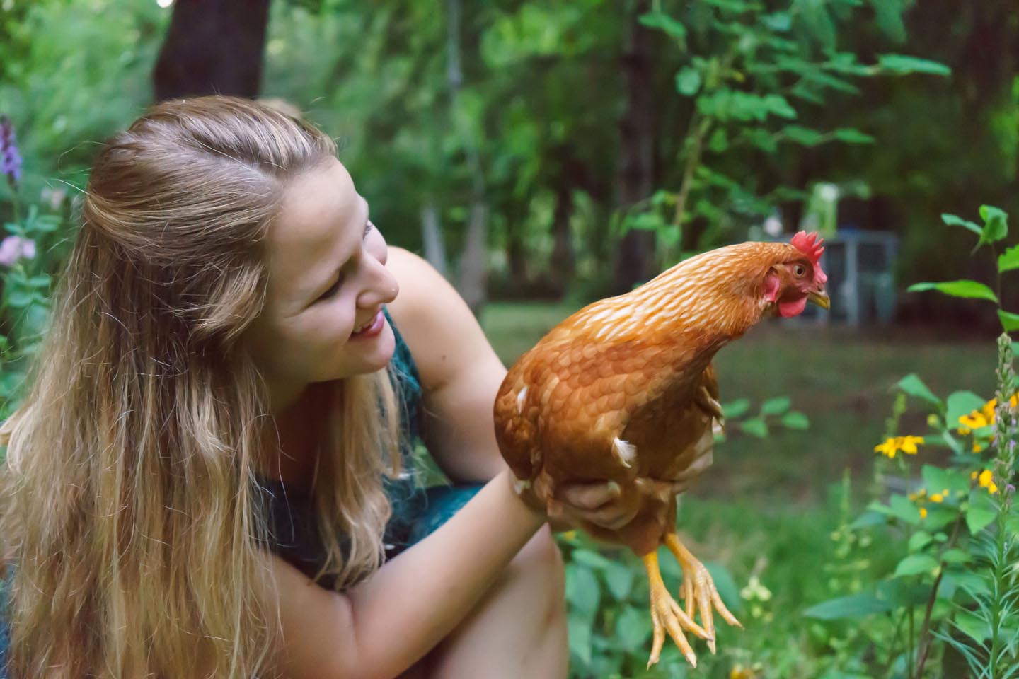 Backyard Dog and Chicken Photography - holding a chicken