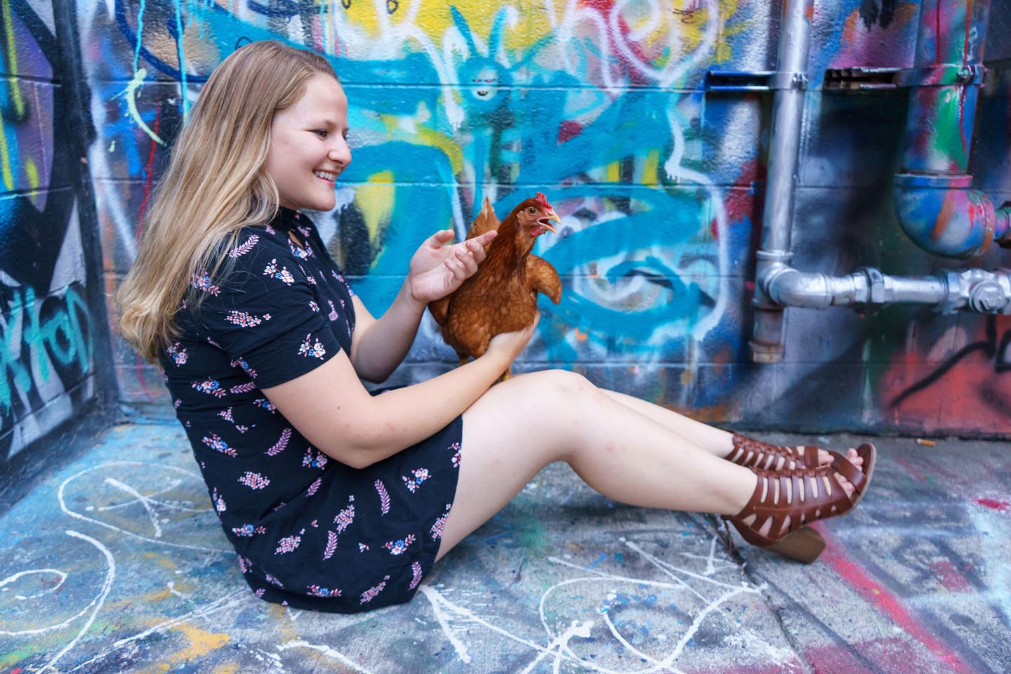 Graffiti Alley Urban Chicken Photography