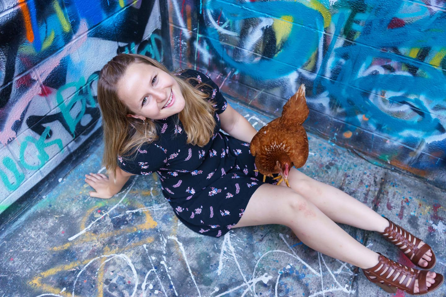 Graffiti Alley Urban Chicken Photography