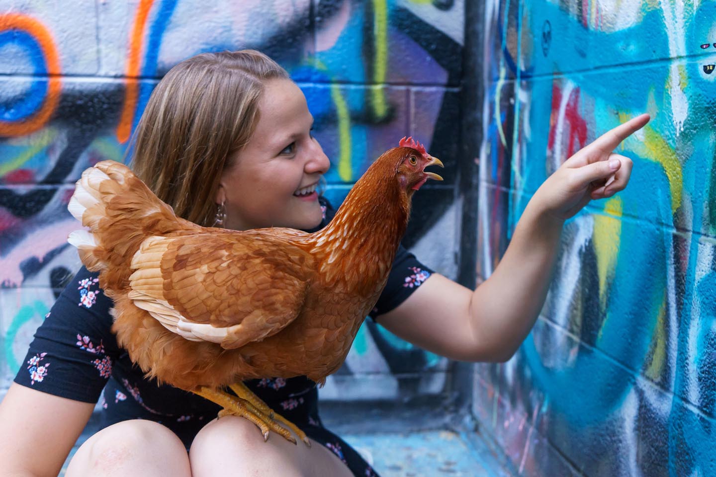 Graffiti Alley Urban Chicken Photography