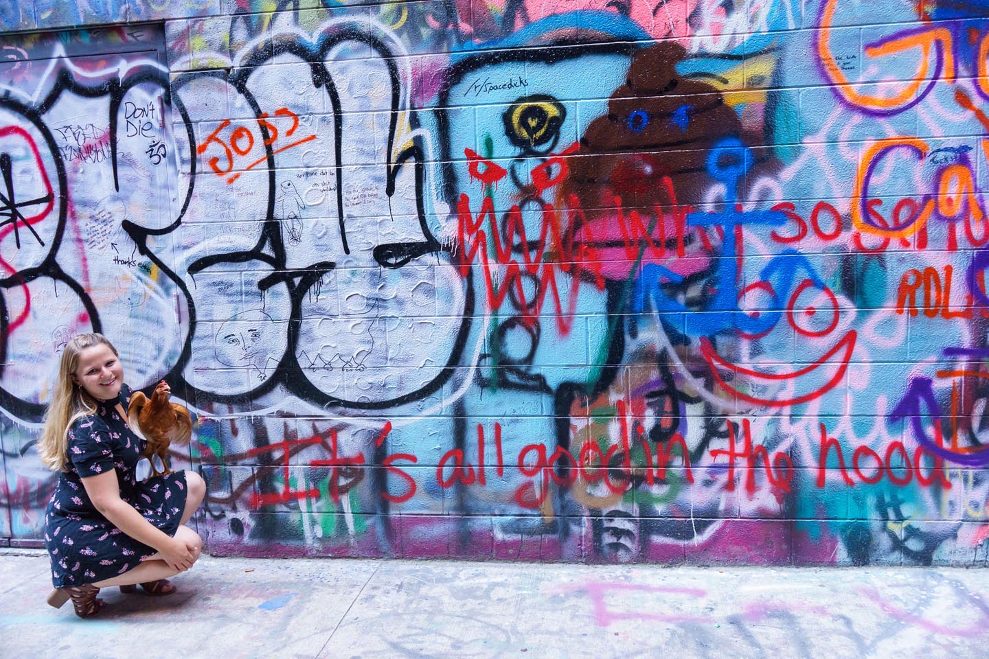 Graffiti Alley Urban Chicken Photography