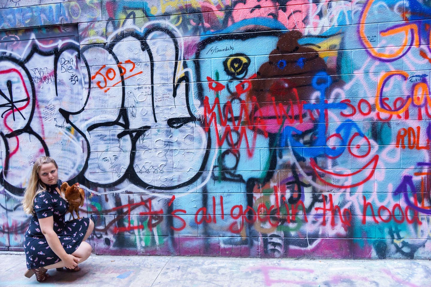 Graffiti Alley Urban Chicken Photography