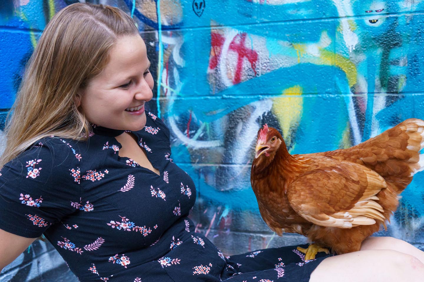 Graffiti Alley Urban Chicken Photography