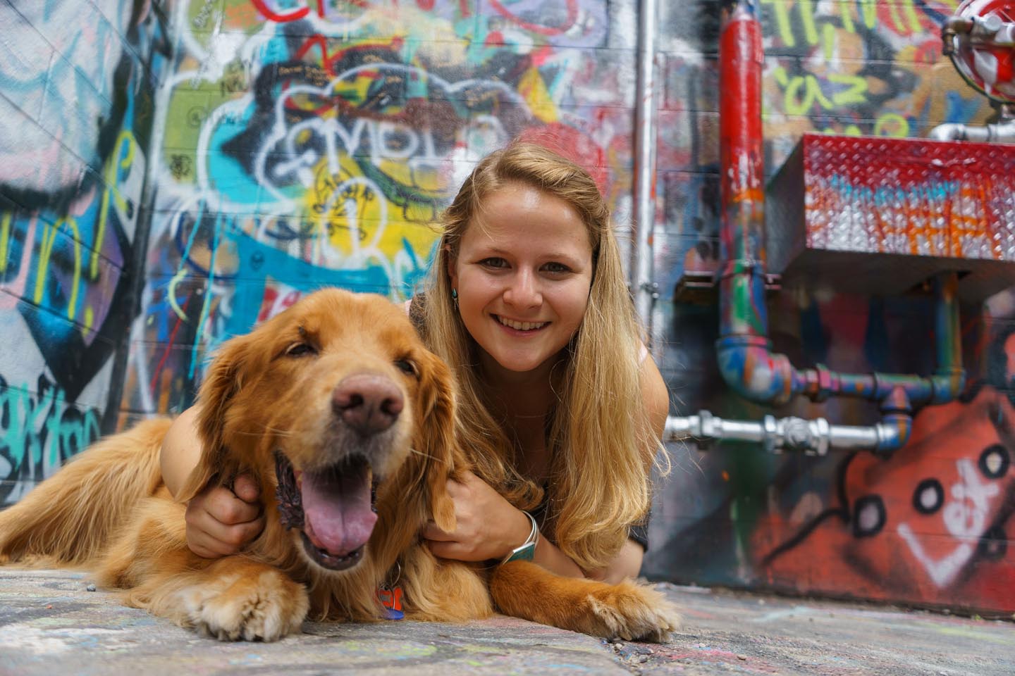 Graffiti Alley Urban Dog Photography