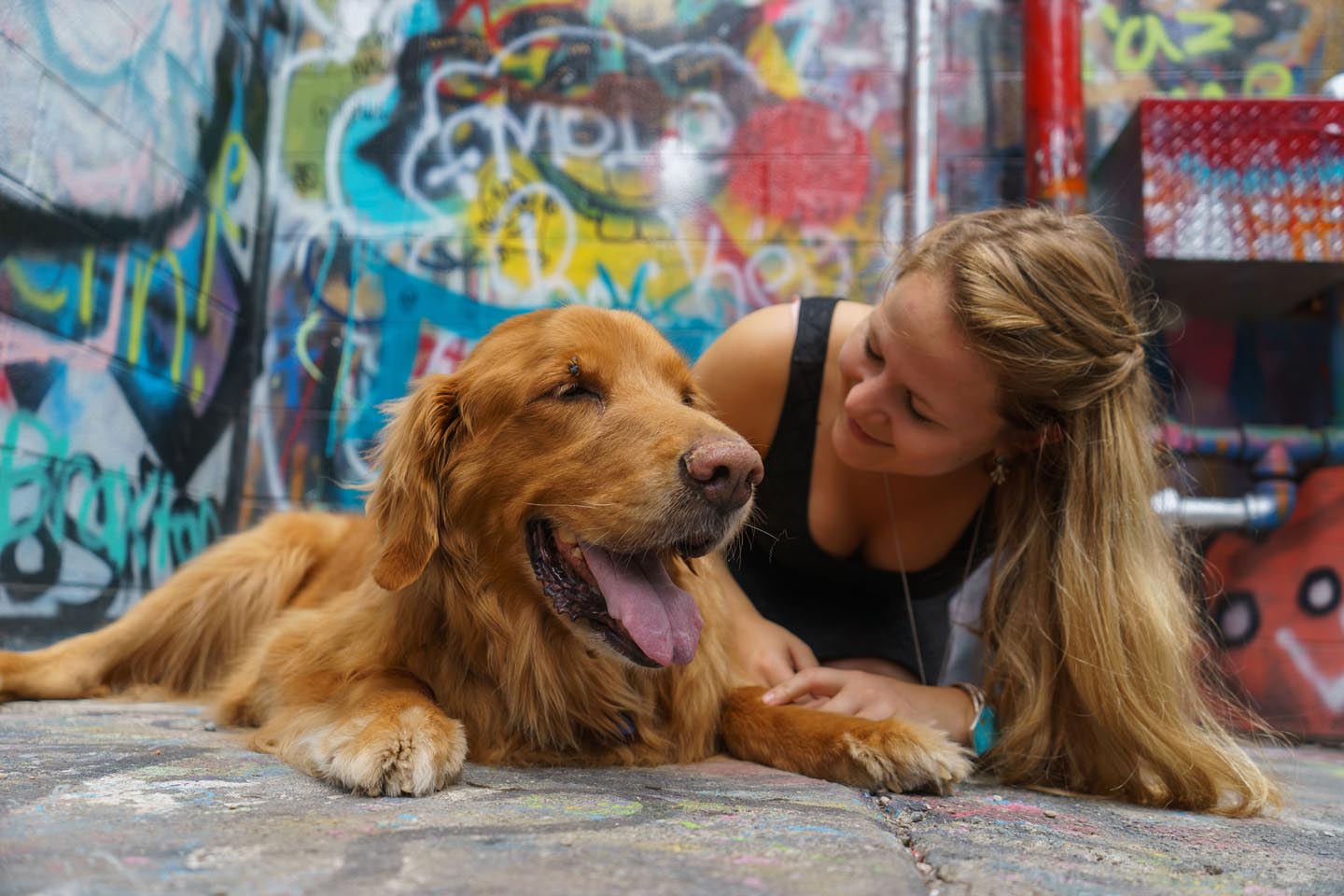 Graffiti Alley Urban Dog Photography