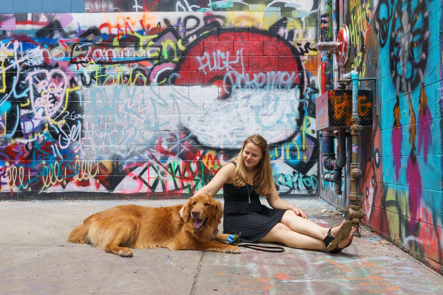 Graffiti Alley Urban Dog Photography